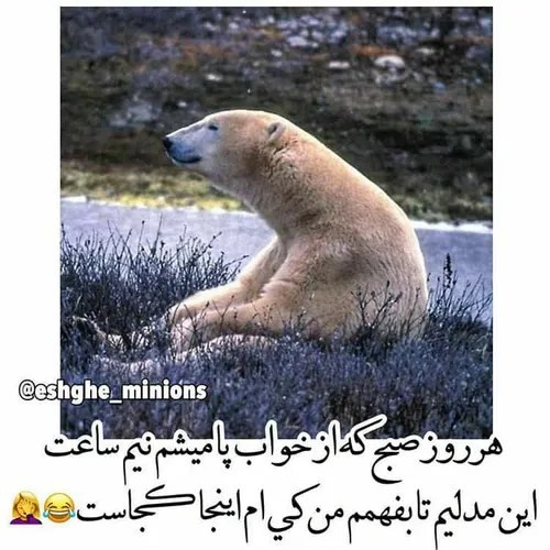 کیامثل منن؟؟😂 😂 لایـک کنید همدیگرو پیداکنیم👍 😂 😂 😂