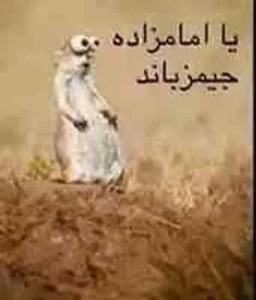 هه