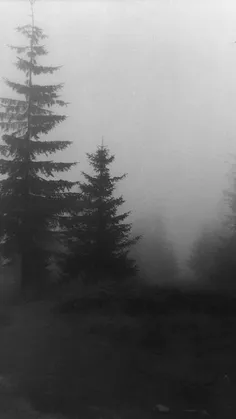 برام امن نبود عاشقت بشم... 🔭🌘✨