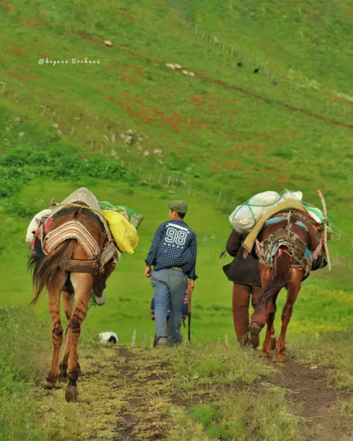 احساس زیبای خود را بیان کنید🙏 🙏 🙏