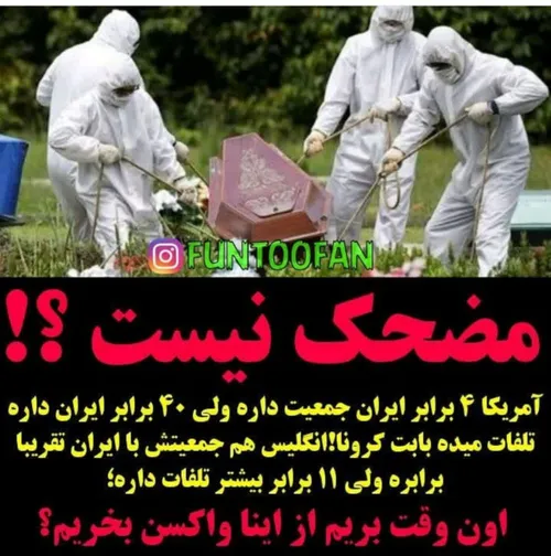 من بلد نیستم