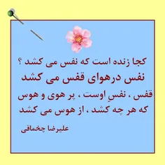 نه او  زنده است که نفس می کشد / 
