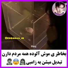 اسم سریال ((ماهمه مرده ایم))