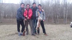 یک شکار در کنار دوستان