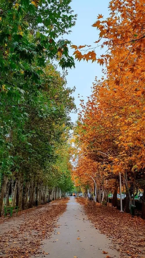 ایران زیبا