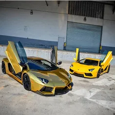 Lamborghini Aventadors