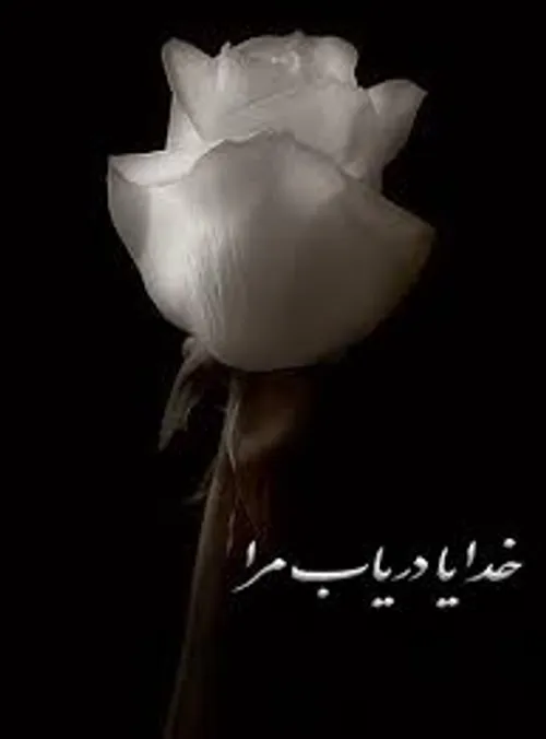 آقای دولابی (ره):