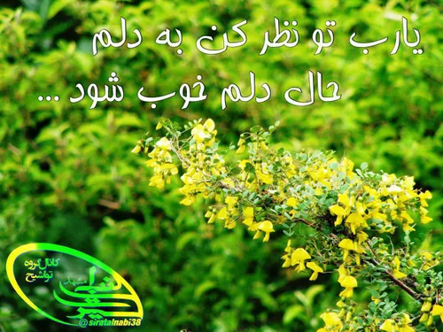 یارب تو نظر کن به دلم