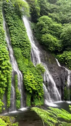 آبشار های بالی 🦋🌱