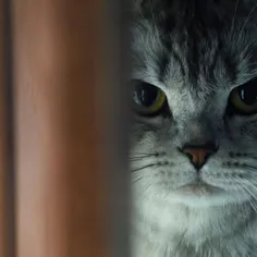 بیام بخورمتون؟👊😂