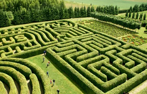 تماشایی ترین باغ های هزارتوی جهان که هیجان زده تان می کند