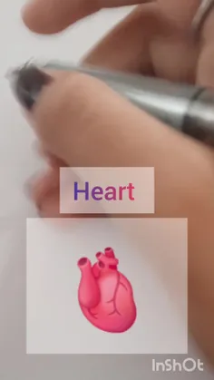 طراحی:  قلب