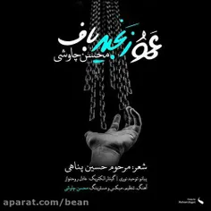 چاووشی