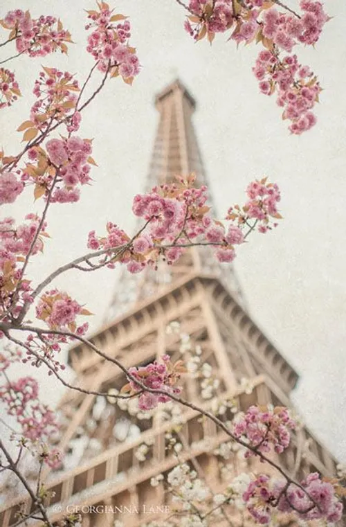 برج ایفل پاریس paris بهار