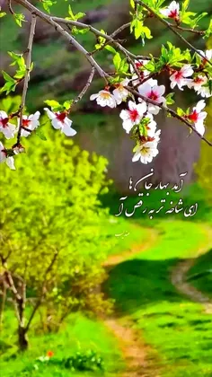 🍃❤تو شبیه پرستوها هستی