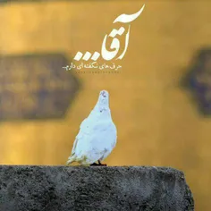 دِلـَم شِکسته،دلـم را نمی خـری آقا!؟