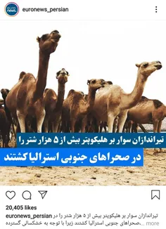 🔻  اگر این اتفاق در ایران رخ داده بود... 