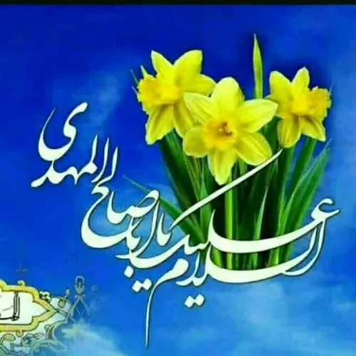 السلام علیک یا ابا صالح المهدی