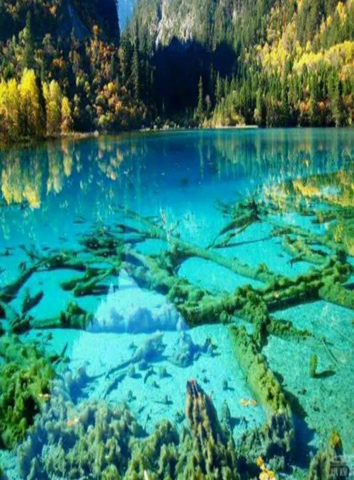 دریاچه بلوری فیروزه پارک ملی جیوژاییگو چین