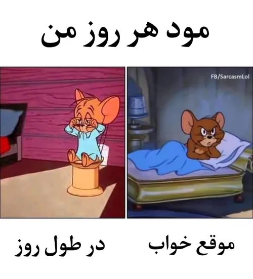 حرفی ندارم •-• 👌