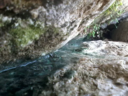 چشمه.کازاره.درروستای.کاور