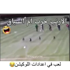 مسابقه سگ دوانی ،فقط خرگوش😂