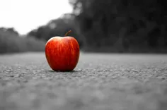 جاذبه ی سیب ، آدم را به زمین زد و جاذبه ی زمین ، سیب را !