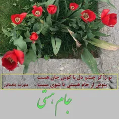 جامِ هستی