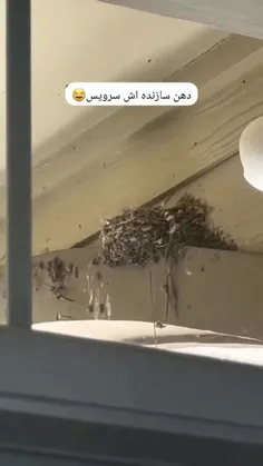 به به چه آوازي 