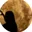 durwin88