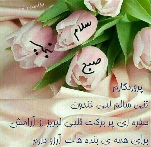 💙بسم الله الرحمن الرحیم💙