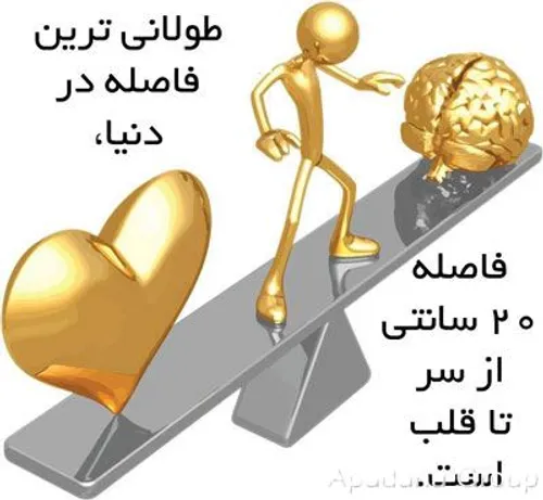 گوناگون philosophic70 3506104 - عکس ویسگون