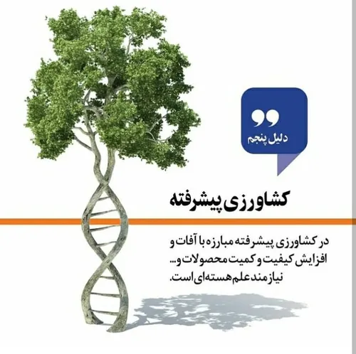 علم و دانش akhbar_enghelabi 31224666 - عکس ویسگون