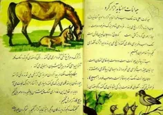 حیوانات را نباید آزار کرد کتاب فارسی دبستان ۱۳۳۹ خورشیدی