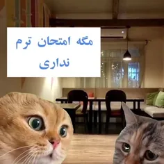 حکایت من و ننم🥲