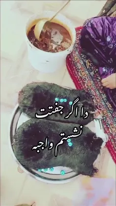 دا اگر جفتت نشستم واجبه.....