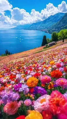 یه دنیا زیبایی تقدیم نگاهتون