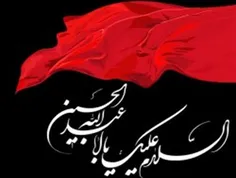 دلی که سینه زن هر شب محرم شد