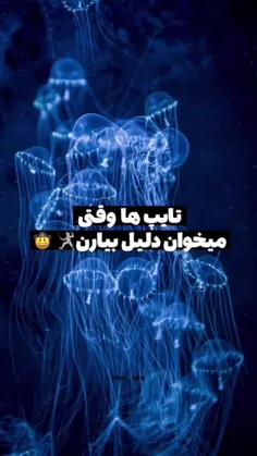 وایی راس میگه