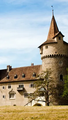 #switzerland_castle_gothic_architecture