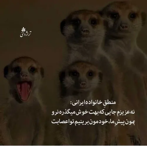 خانواده شما هم این مدلین؟ یا فقط من سر راهی ام 💔😂✋🏻