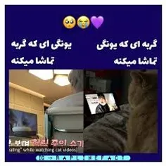 خو خودت گربه ای 😭🥺💜