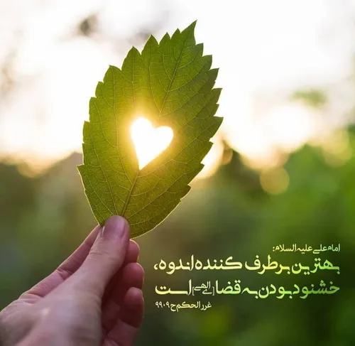 امیرالمؤمنین علی علیه السلام