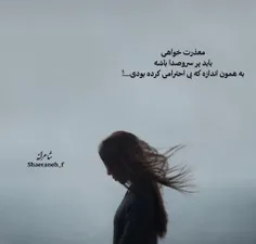 معذرت خواهی باید پر سر و صدا باشه...