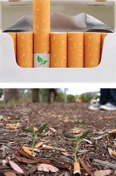 سیگار دوستدار طبیعت