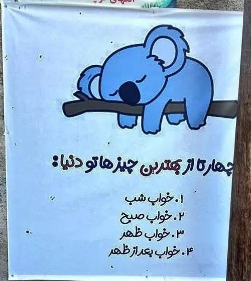 اینو دیدم یاد یونگی افتادم😂