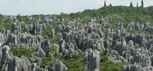 جنگل سنگی در چین