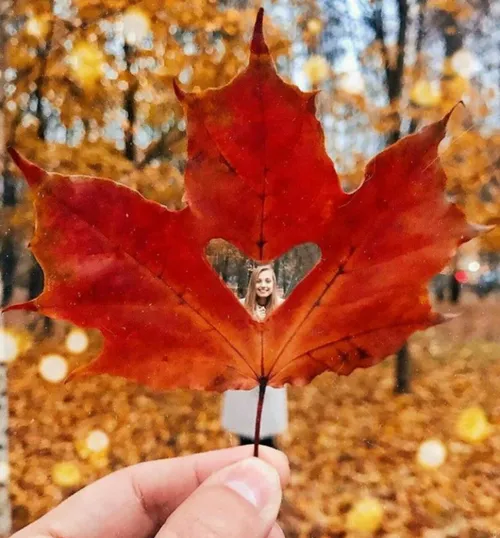 پاییز🍁