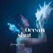 ocean-shut-companey