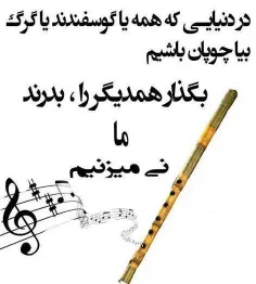 بیا نی بزنیم